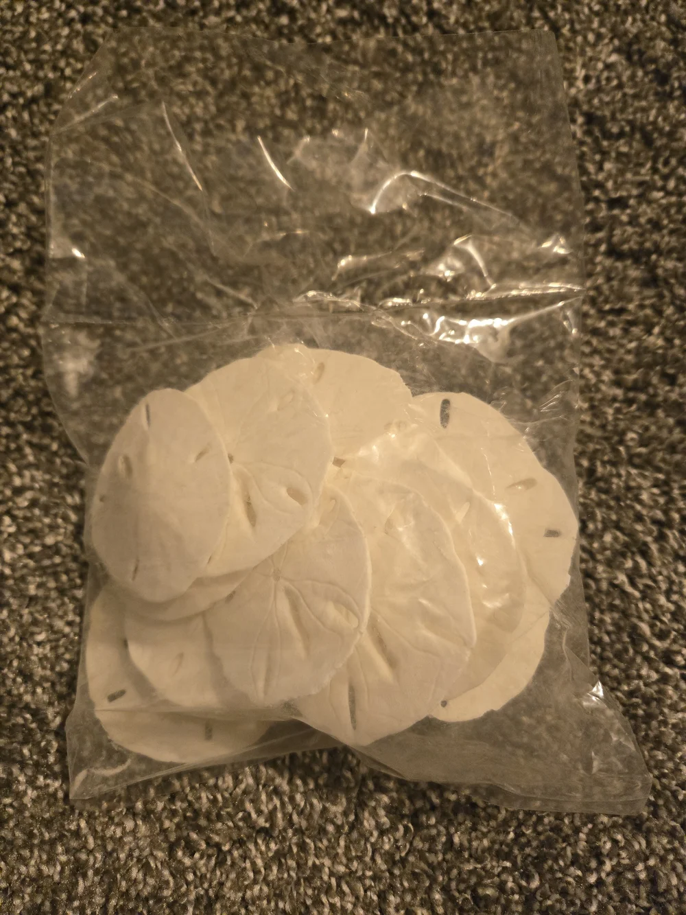 Pack of White Sand Dollars - Natural Sea Shells